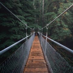 Adventure Travel Destinations 2026: Where to Go If You Want More Than a Holiday