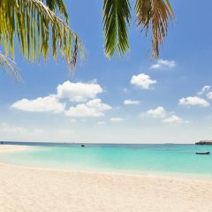 Best Destinations for Wellness Retreats in 2026