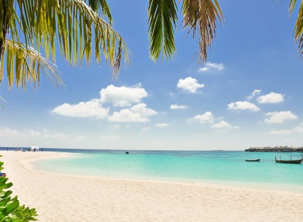 Best Destinations for Wellness Retreats in 2026