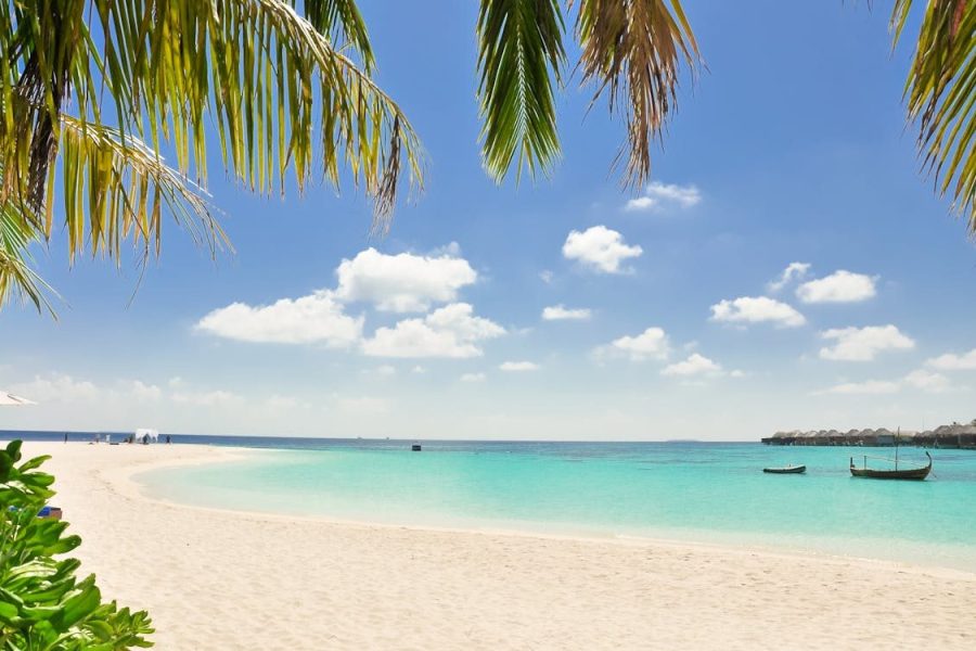Best Destinations for Wellness Retreats in 2026