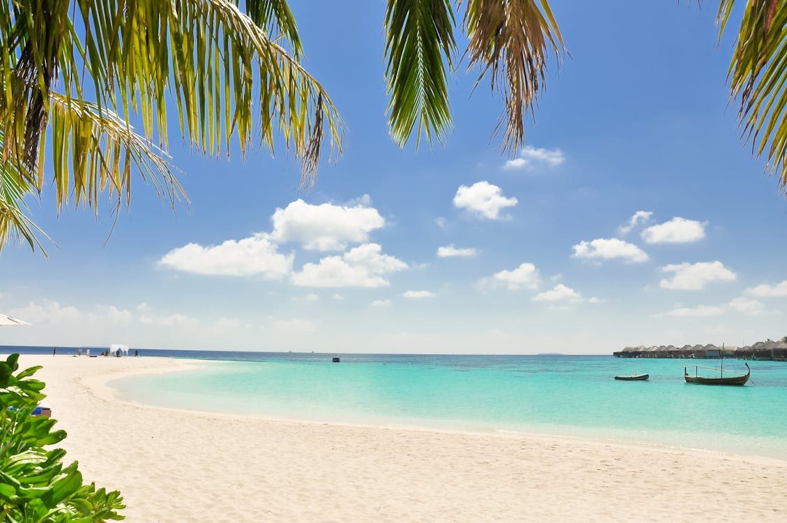 Best Destinations for Wellness Retreats in 2026